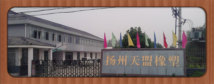 揚(yáng)州市天盟橡塑